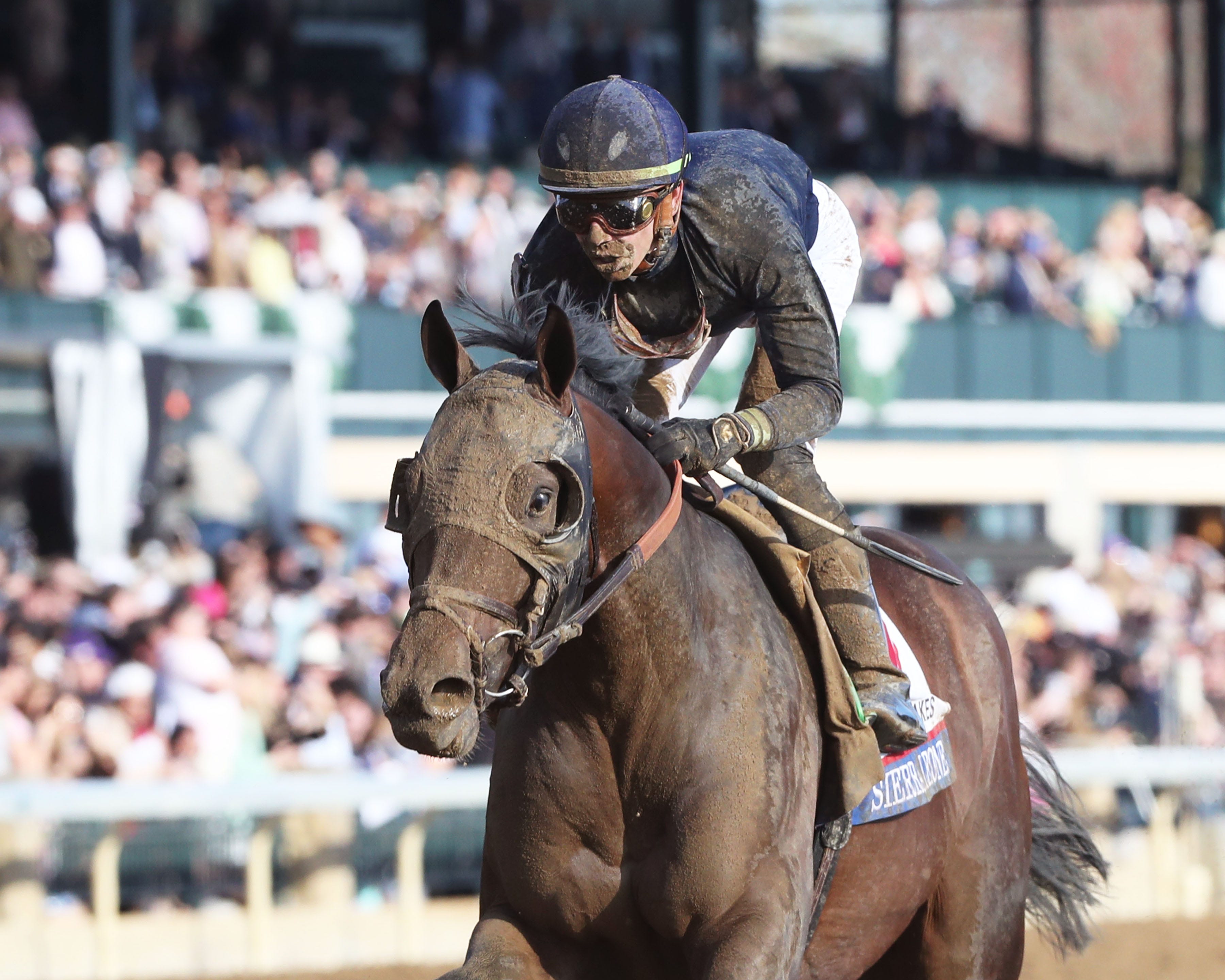 Sierra Leone solidifies himself a top Kentucky Derby contender in Blue